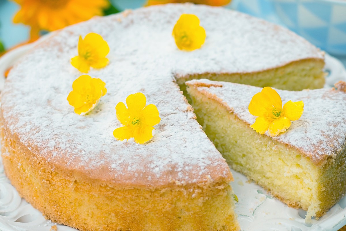 torta ultra light la puoi torta ultra light