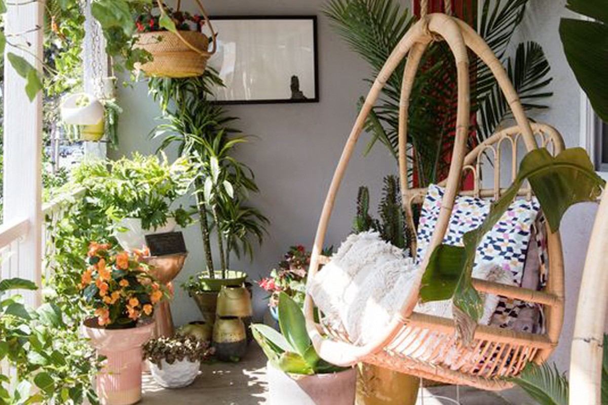 11 piante da balcone resistenti piante da balcone resistenti 1