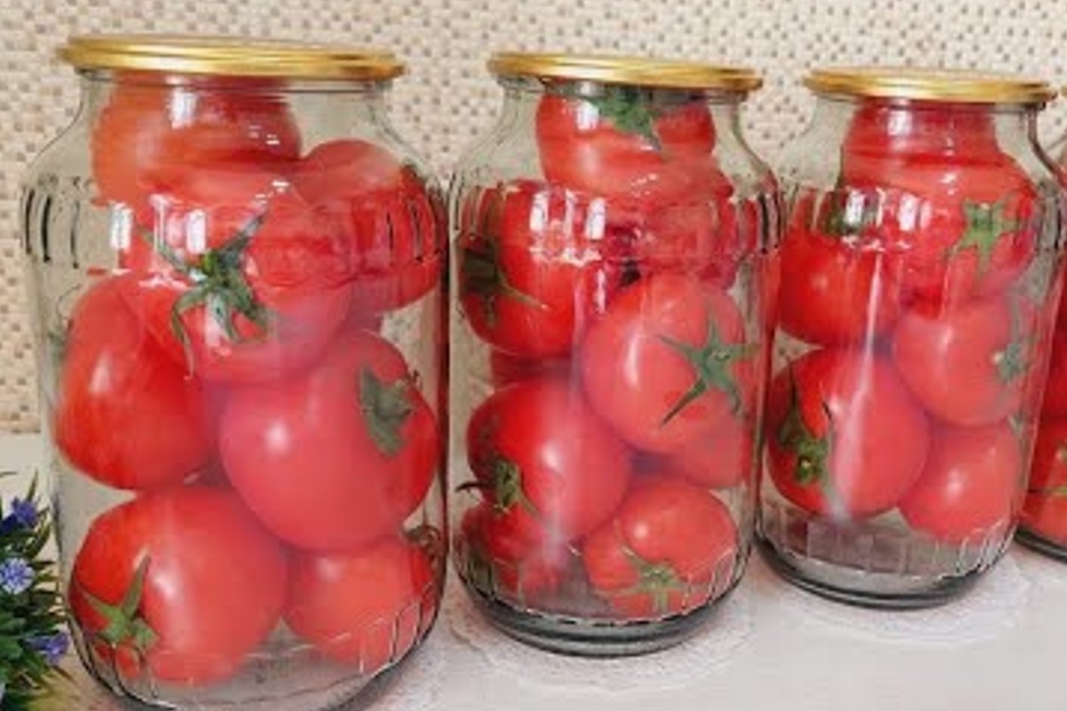 come conservare i pomodori freschi conservare i pomodori 1