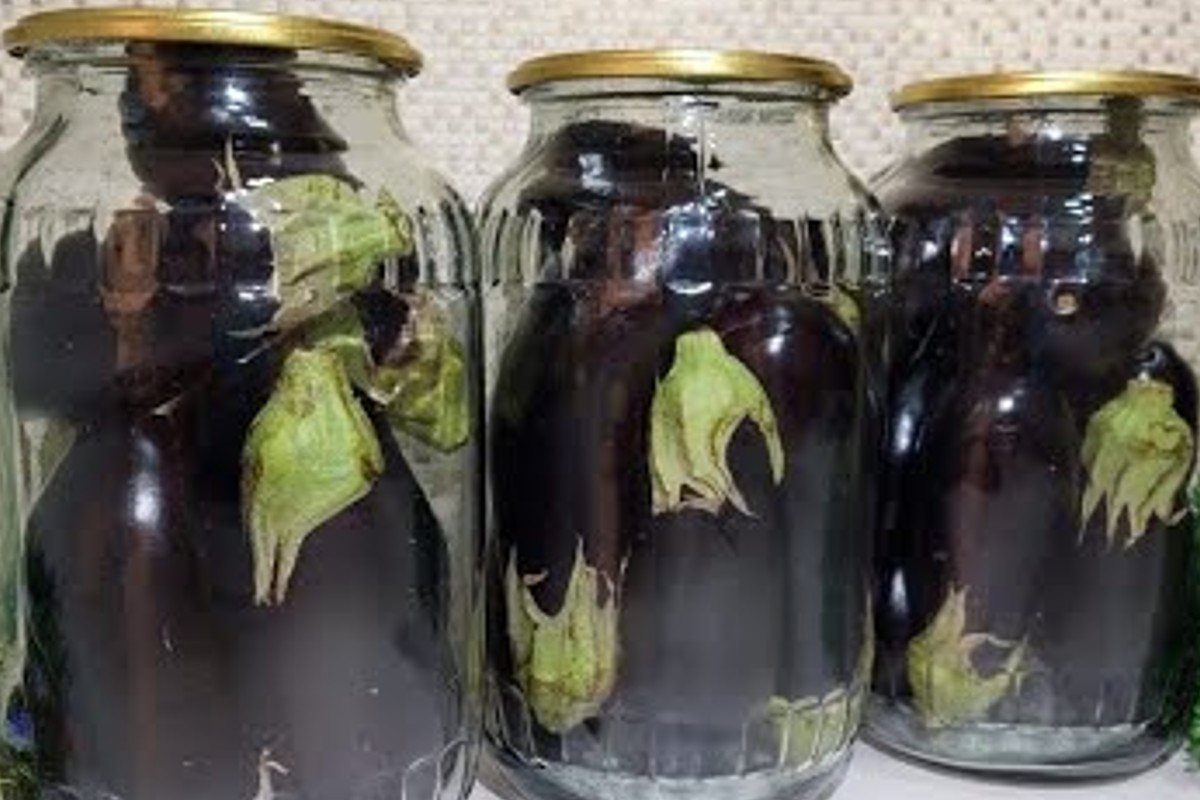 conservare le melanzane fresche per conservare le melanzane