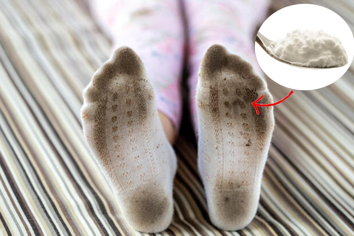 calzini di spugna il metodo calzini bianchi