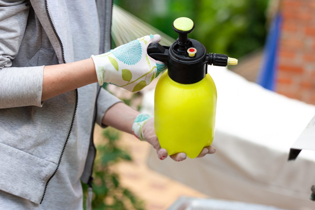 contro afidi cocciniglia e fumaggine 1