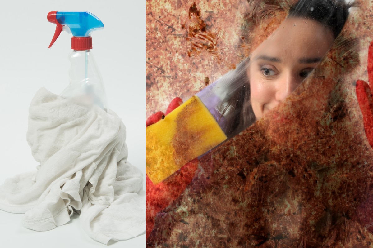 lo sgrassatore di marsiglia naturale lo sgrassatore di marsiglia naturale sgrassatore fai da te