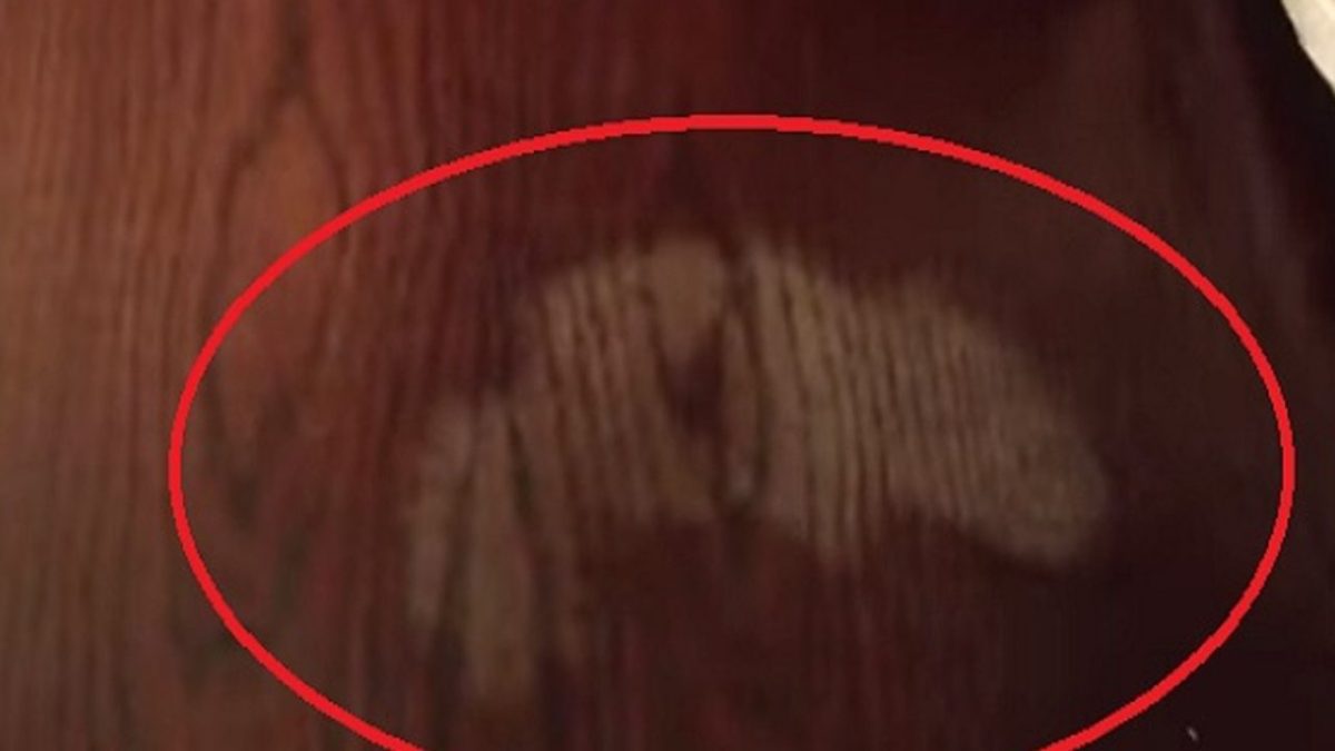 macchie sul legno 3 ingredienti 3 ingredienti segreti per togliere macchie sul legno 1280x720 1