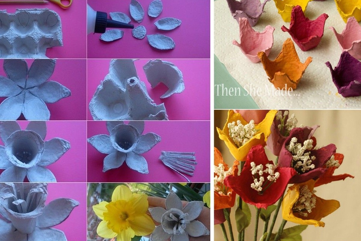 riciclo cartoni delle uova 20 cartoni delle uova 5