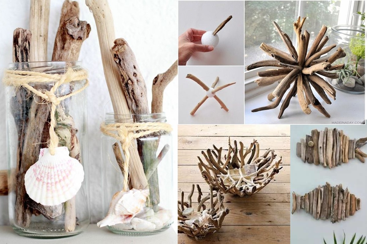 sassi conchiglie e legni di sassi conchiglie legnetti di mare