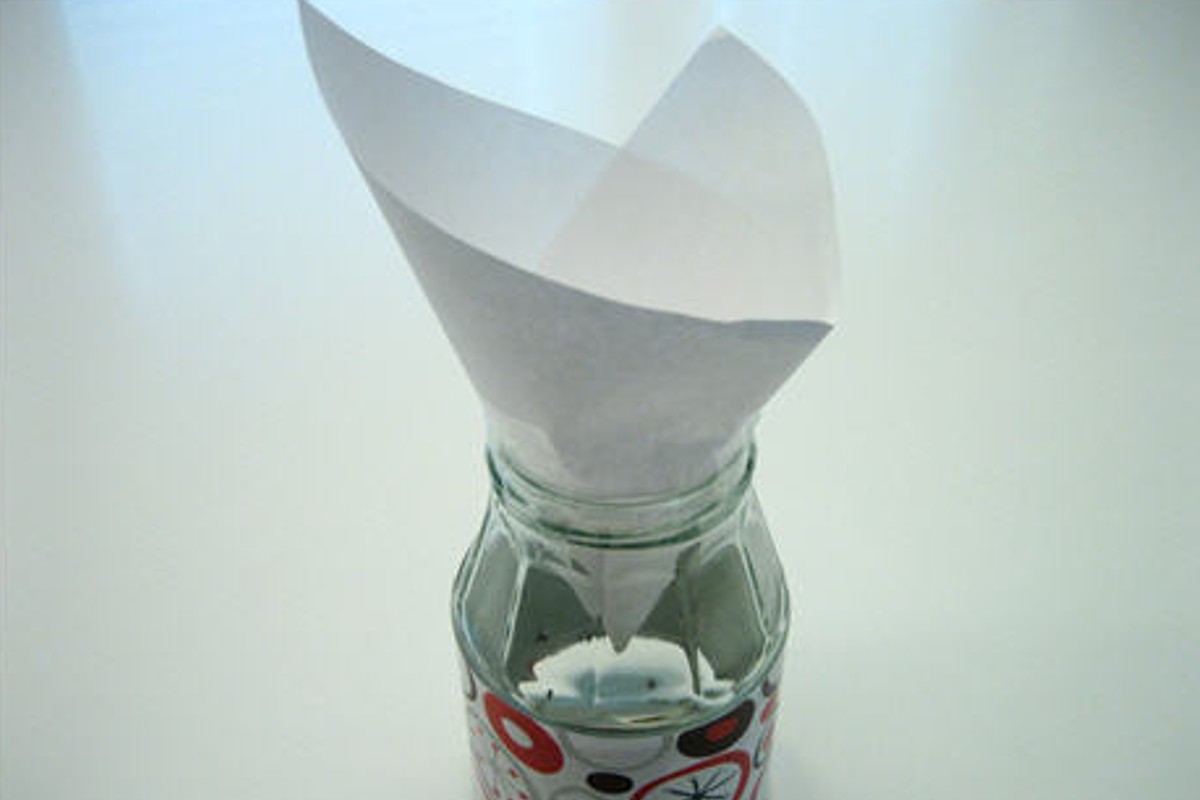 allontanare le mosche senza insetticida mosche barattolo 2