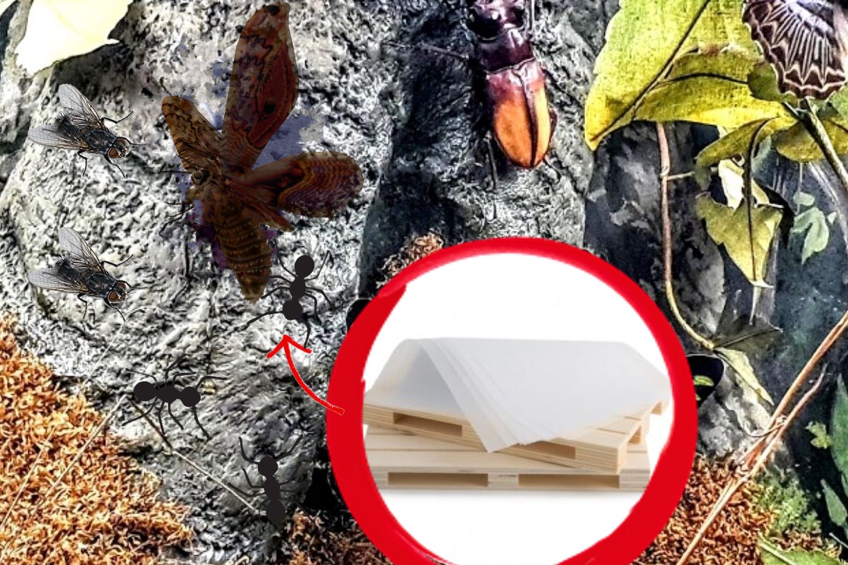 carta moschicida fai da te carta aadesica