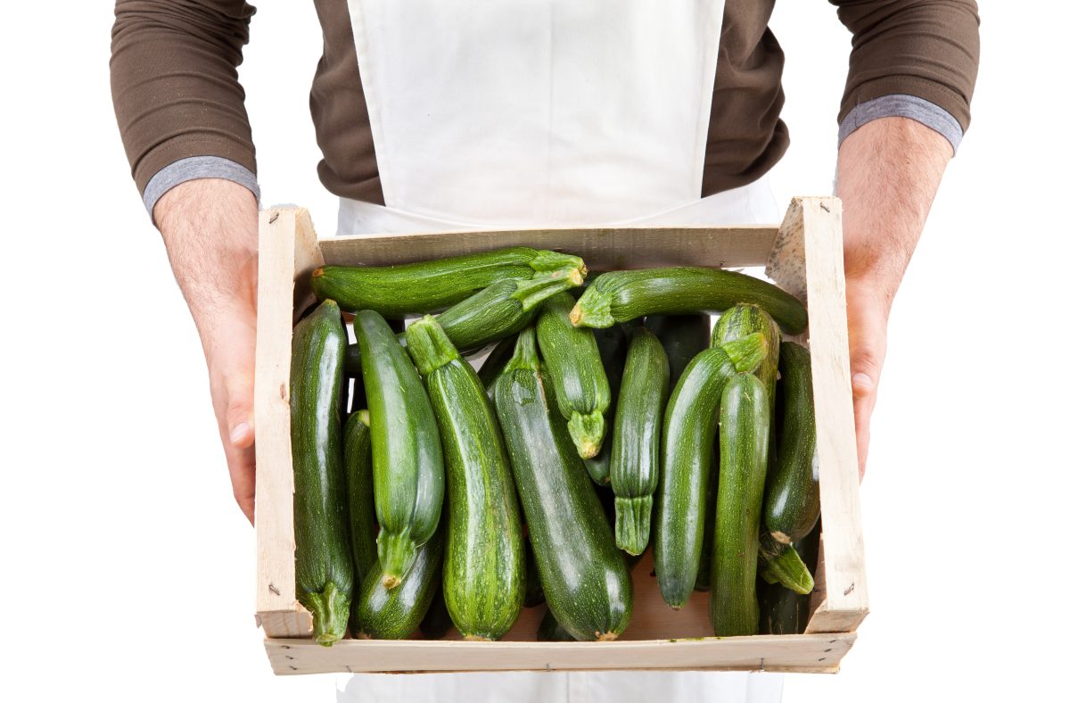 come congelare le zucchine crude AdobeStock 32193019