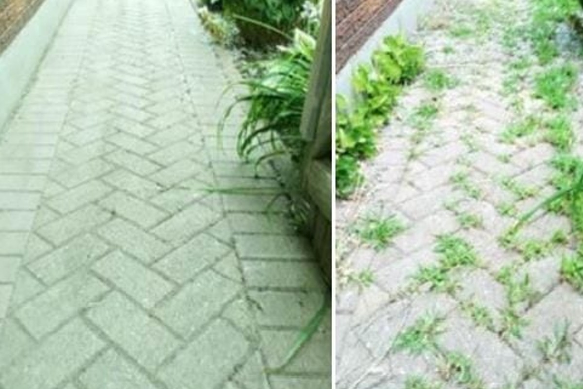 diserbante fai da te potente diserbante fai da te