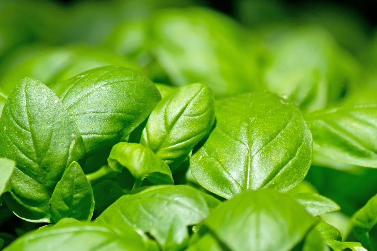 e ora di mettere da 2