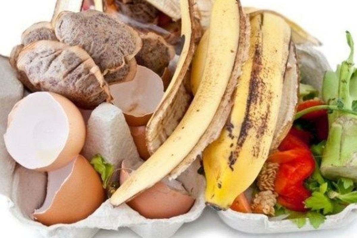 fertilizzante per piante e fiori fertilizzante fai da te coi rifiuti