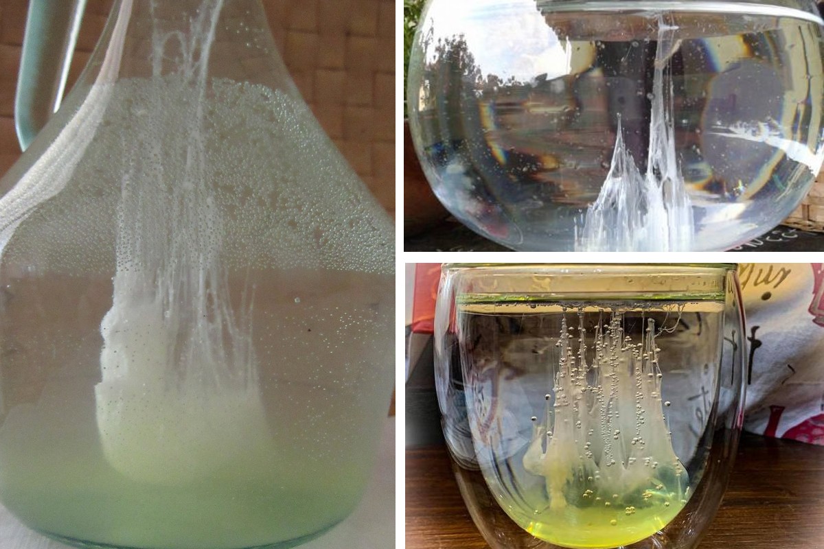 interpretare i messaggi della barca barca di san pietro 2