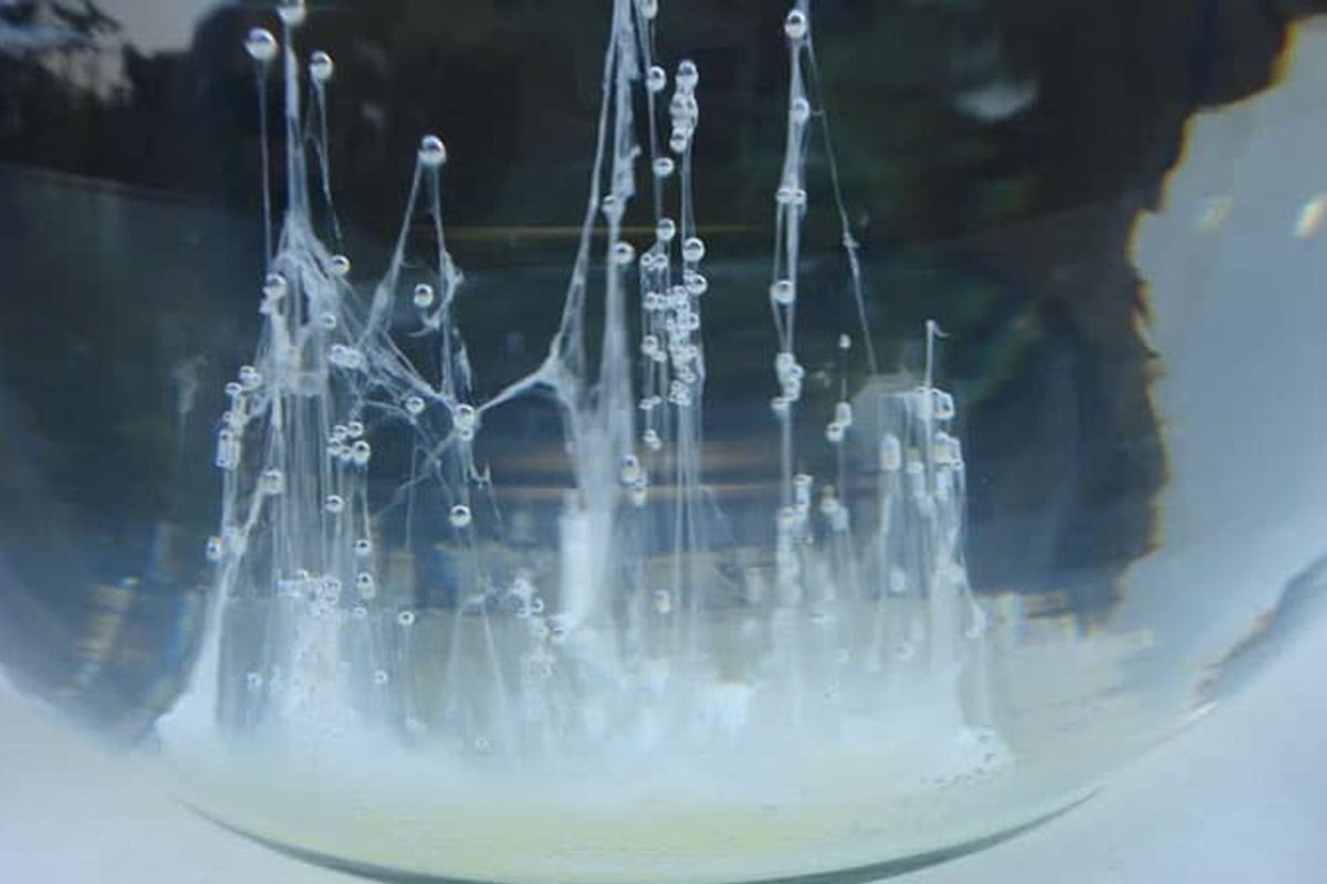 la barca di san pietro 00