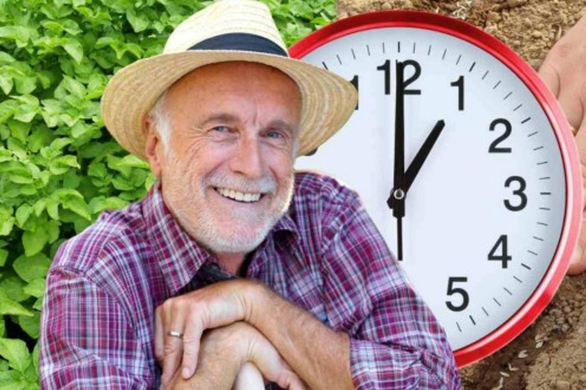 tessuti macchiati dalla candeggina ecco innaffiare le piante