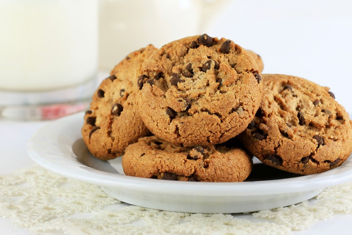 biscotti senza farina senza burrosenza biscotti cioccolato gocce