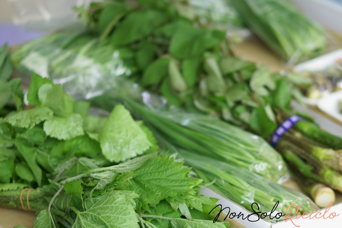 conservare basilico e altre erbe conservare basilico e altre erbe 4 1200x800 1