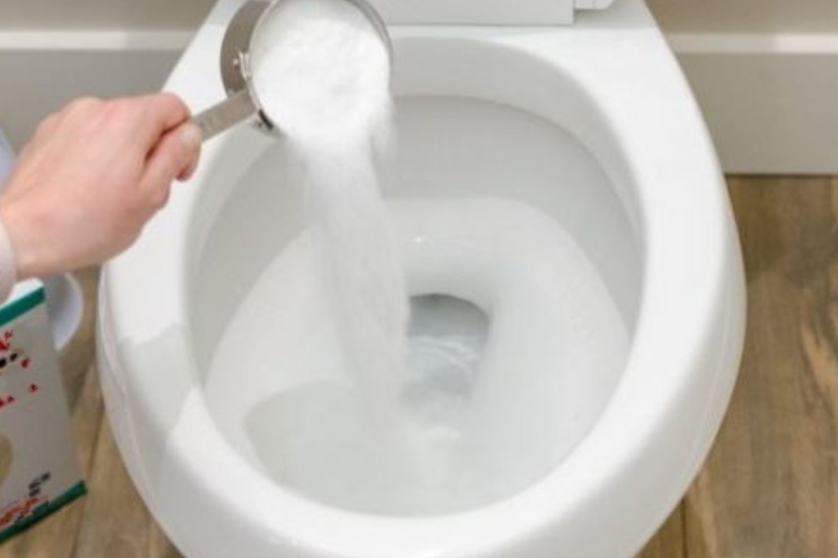 detersivo in polvere altro che Detersivo wc