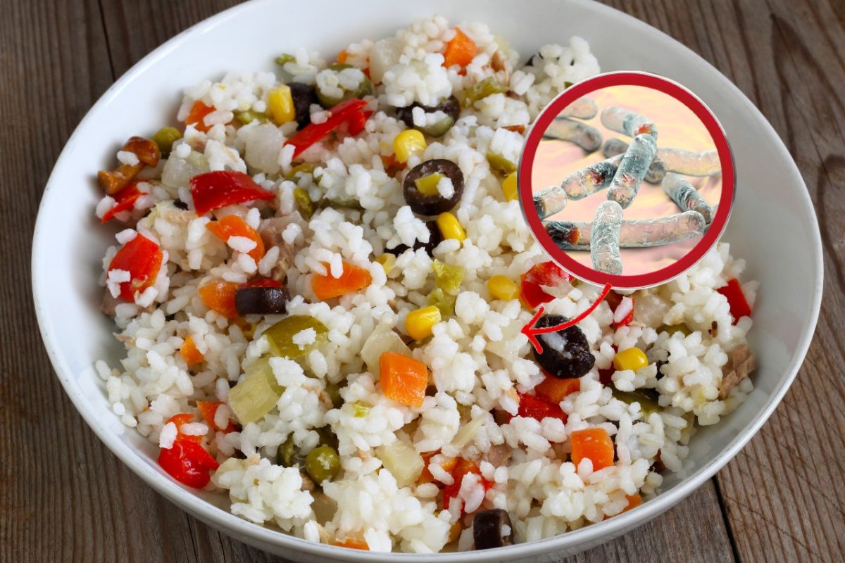 fai attenzione allinsalata fredda il insalata di riso 3