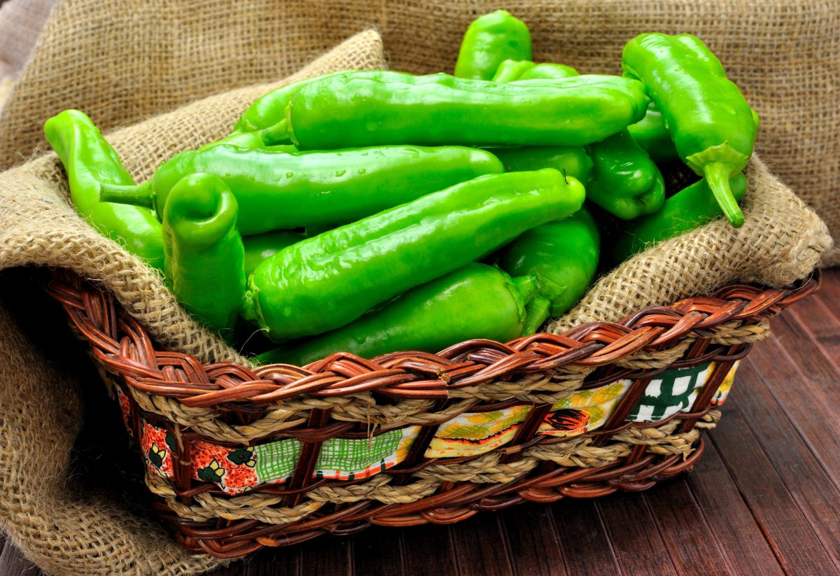 friggitelli ripieni la ricetta facile AdobeStock 67909696