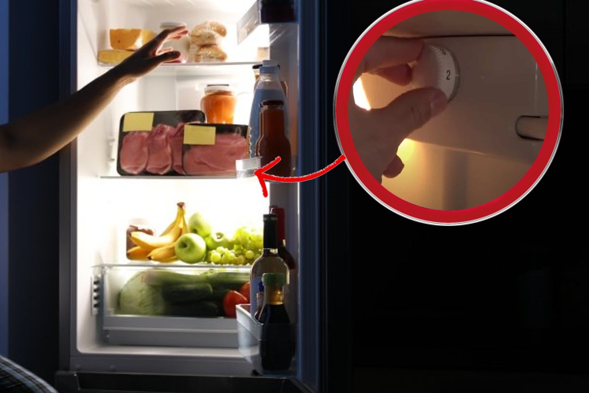 frigorifero questa e la temperatura frigorifero temperatura 1