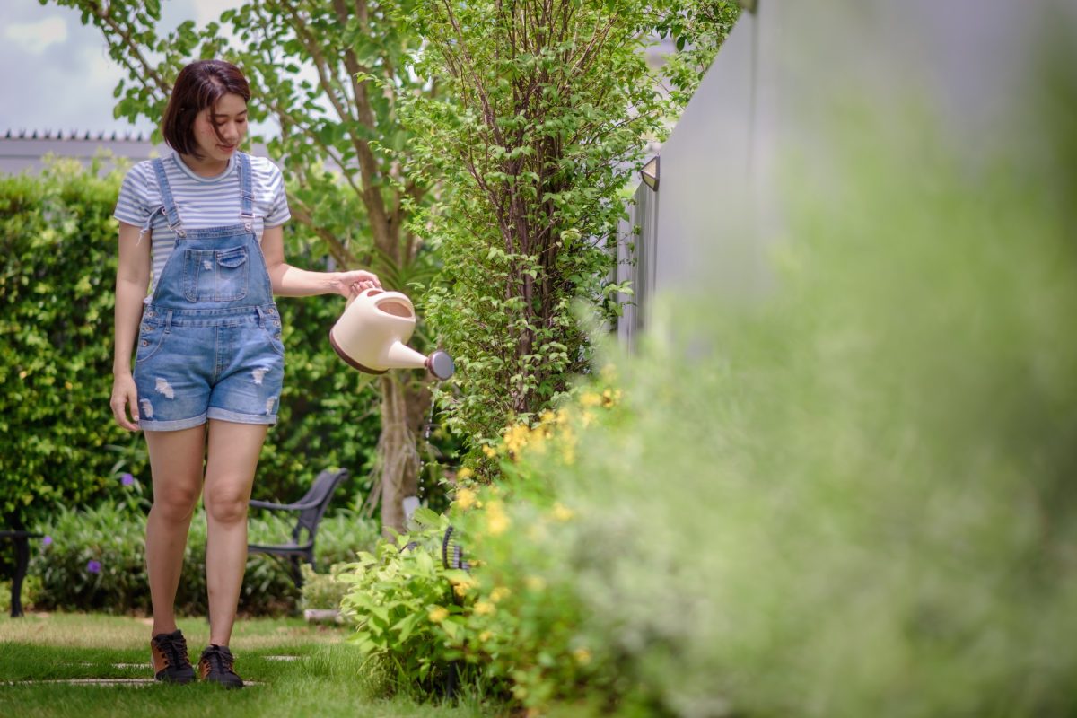 giardinaggio se usi questi attrezzi 2