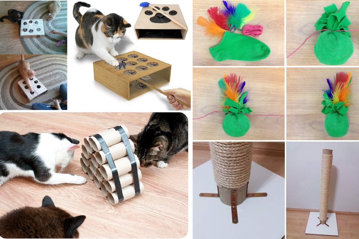 giochi per gatti fai da giochi per gatti fai da te 1