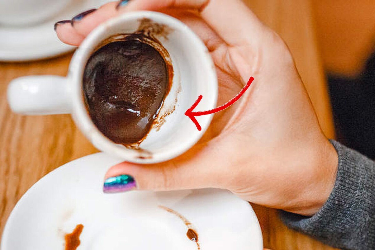 i fondi del caffe sono fondi di caffe 3