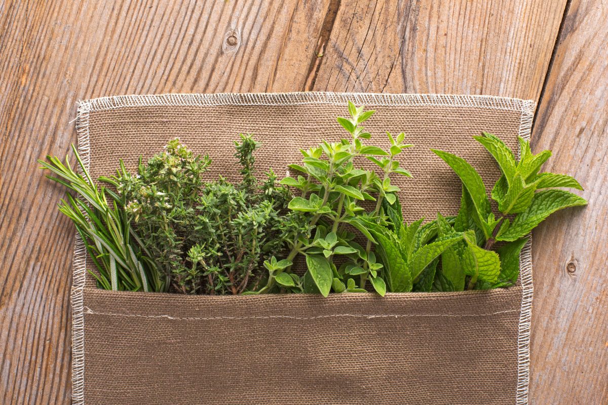 i metodi piu semplici per AdobeStock 83945432