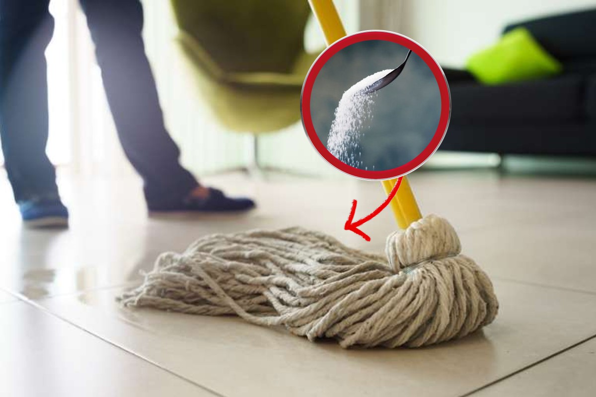 sale sul mocio ne basta sale sul mocio 1