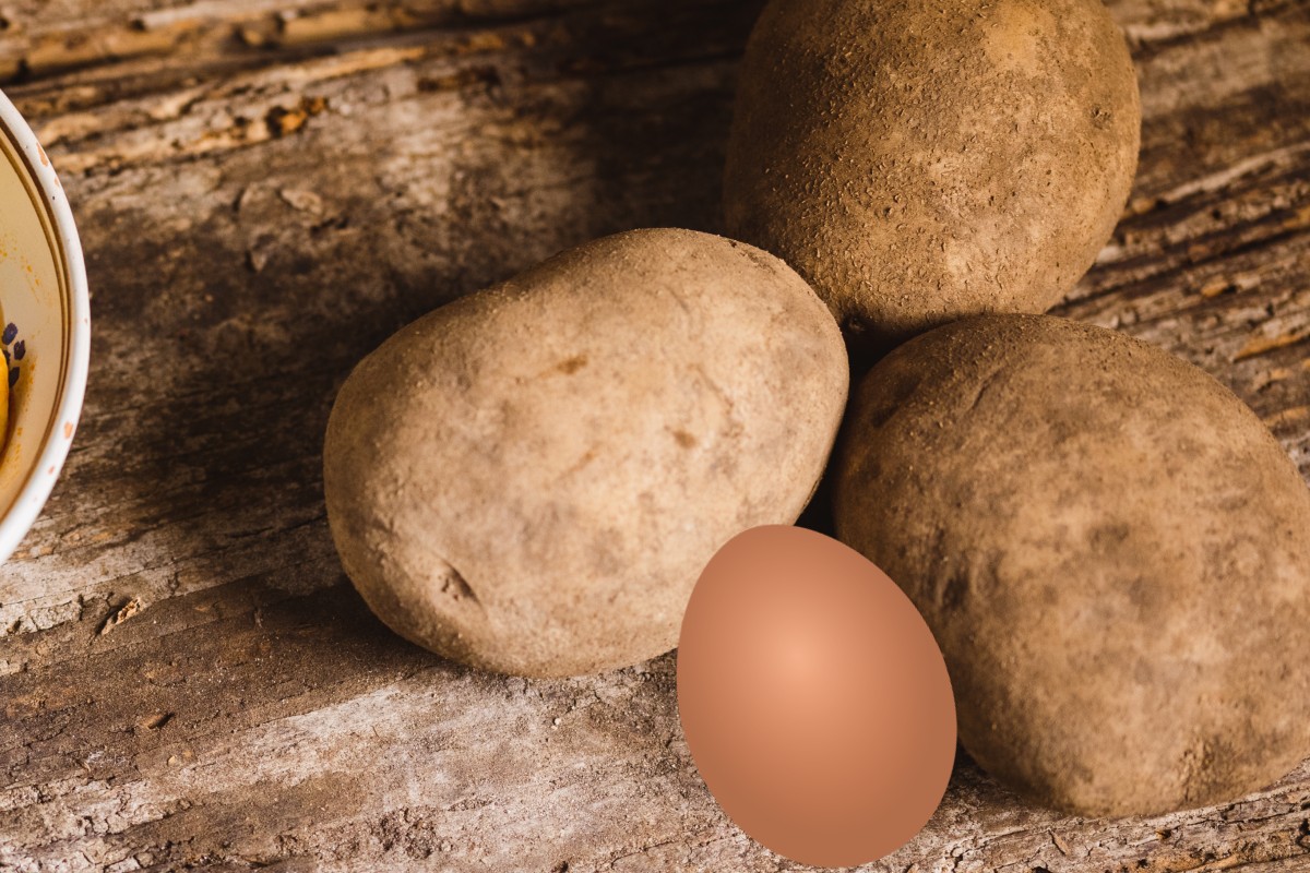 se avete in casa 3 patate.1