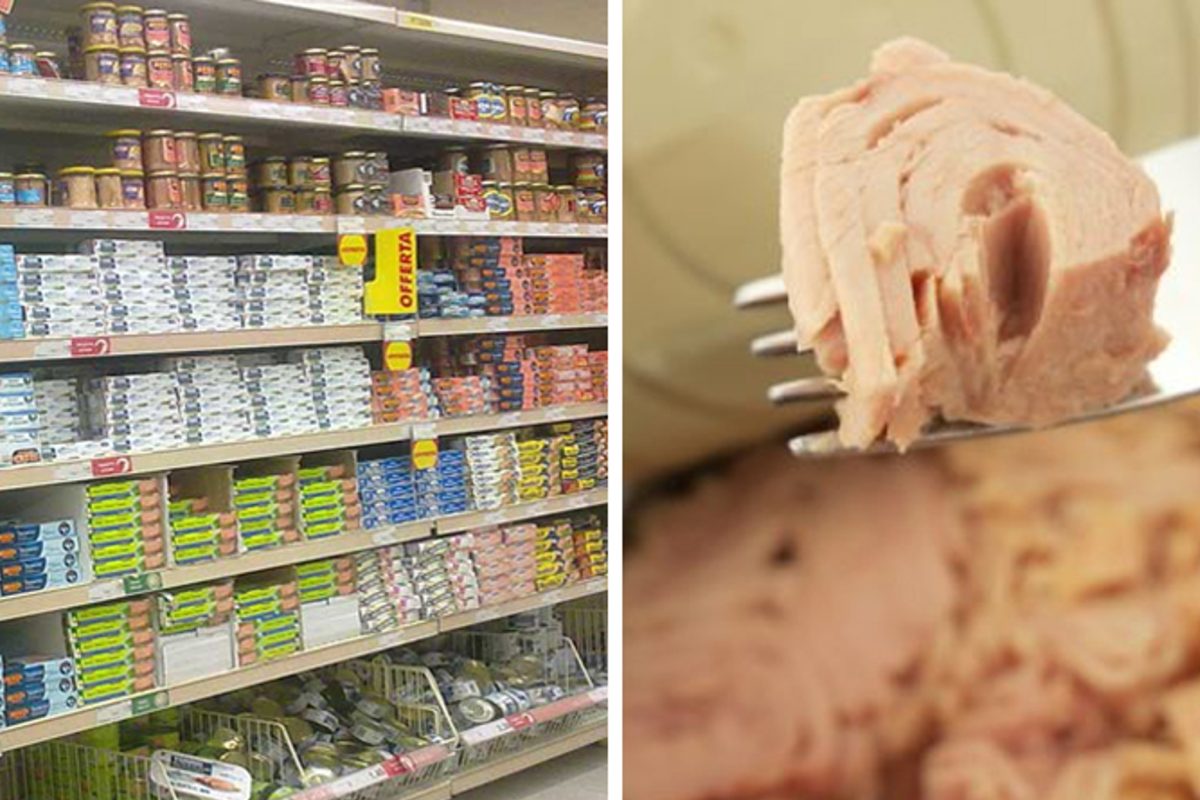 tonno e pieno di mercurio 4