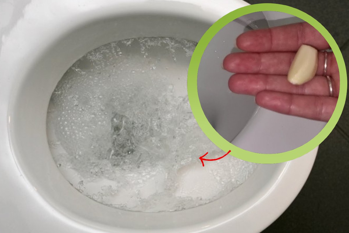 come avere il wc sempre aglio wc