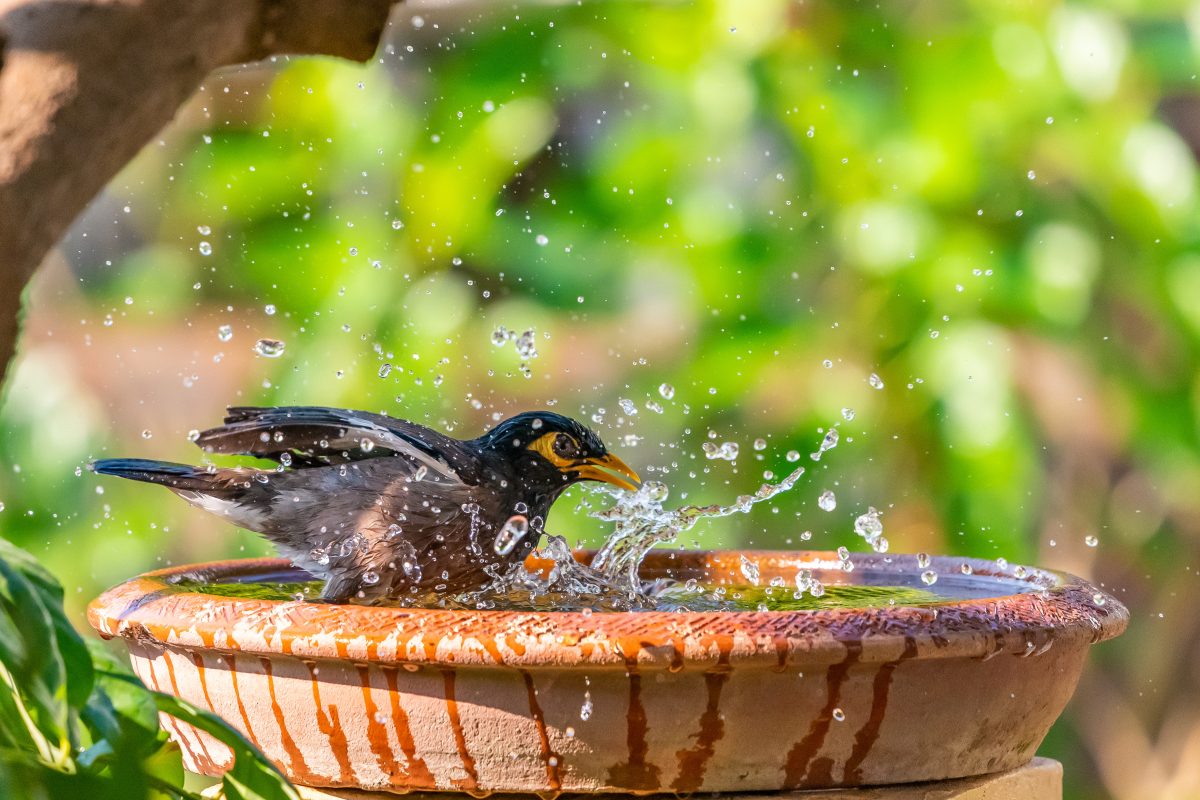 per favore lasciate fuori dalle AdobeStock 258877651