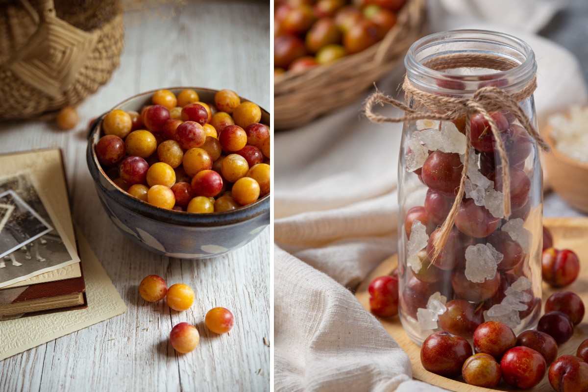 prugne deliziose se non fai prugne tutto l anno