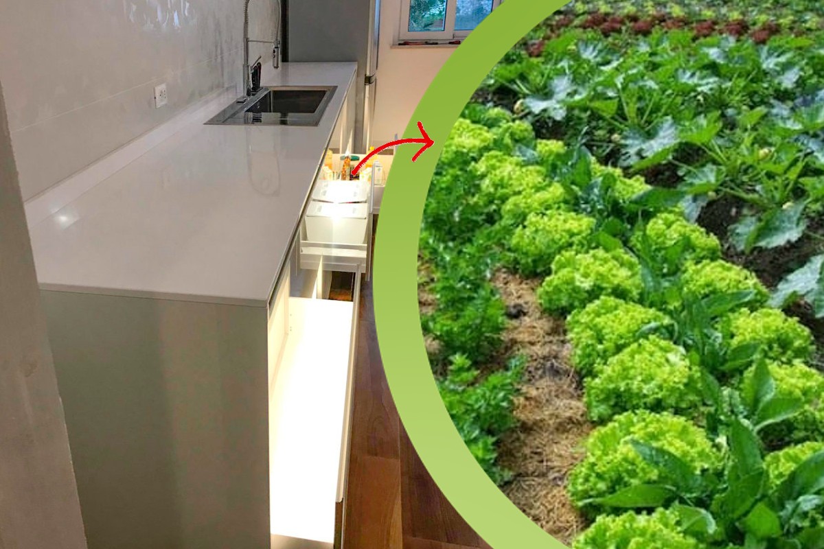 puo pulire cucina e bagno cucina orto