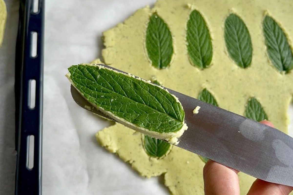 se hai della menta fresca biscotti alla menta