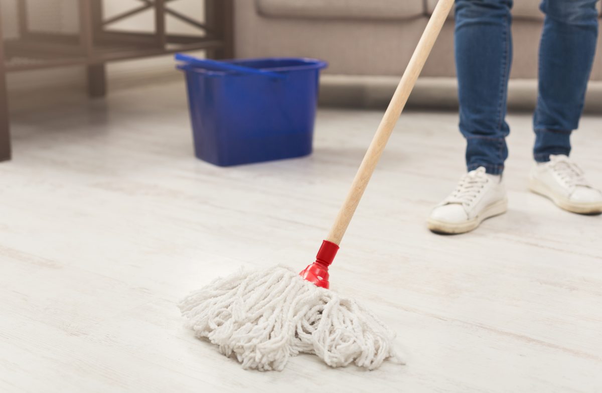 se hai le formiche in AdobeStock 202781011