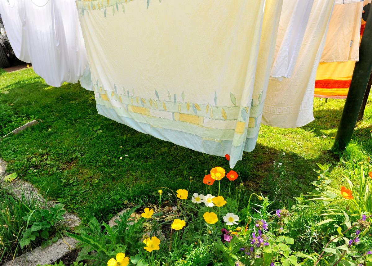 aggiungilo al bucato e avrai AdobeStock 41399946