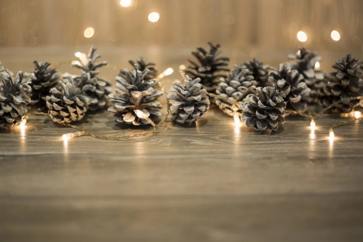 decorazioni con le pigne 7 decorazioni con pigne 2