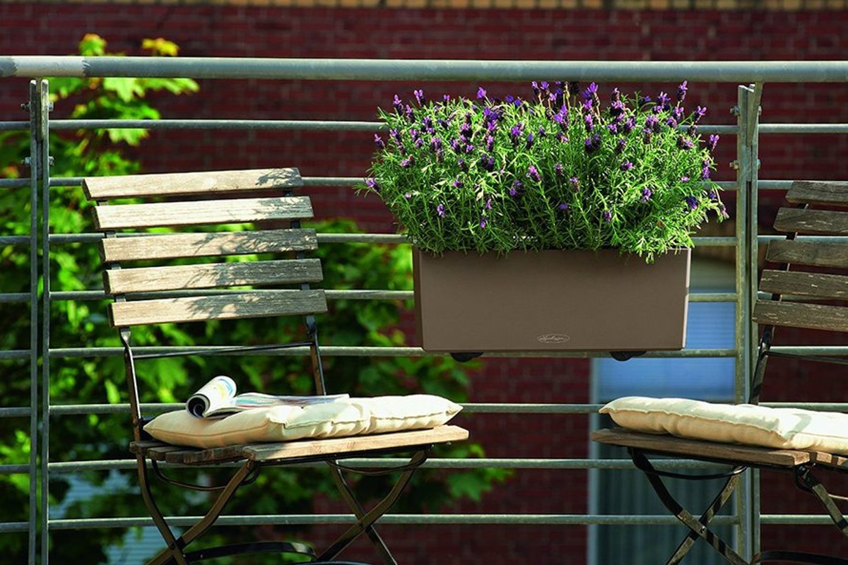 il tuo balcone e piccolo balcone piccolo orto verticale