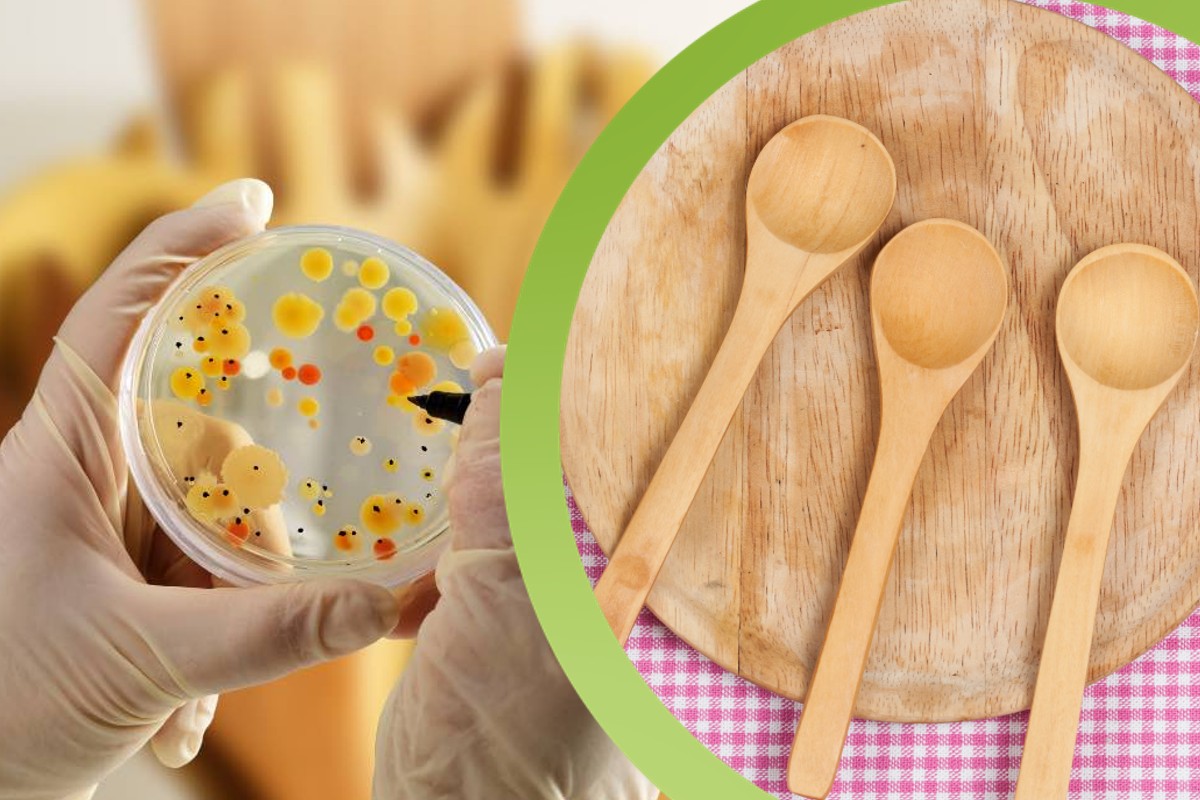 mestoli in legno attenzione sono mestoli legno 1