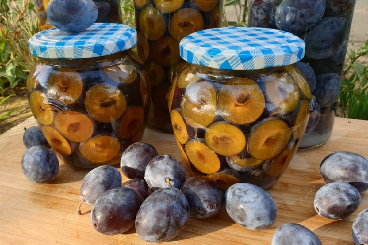 prugne ricche di vitamine prugne consevarle per linverno