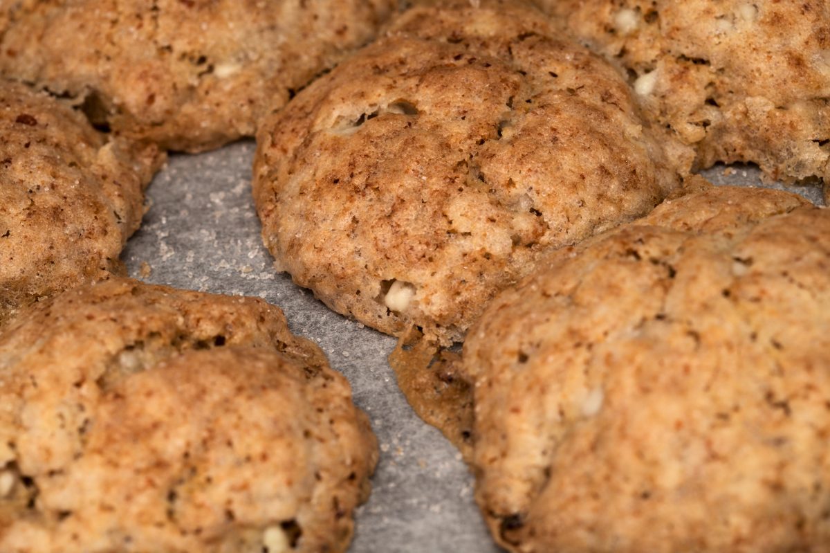 questi biscotti si possono fare AdobeStock 451058321