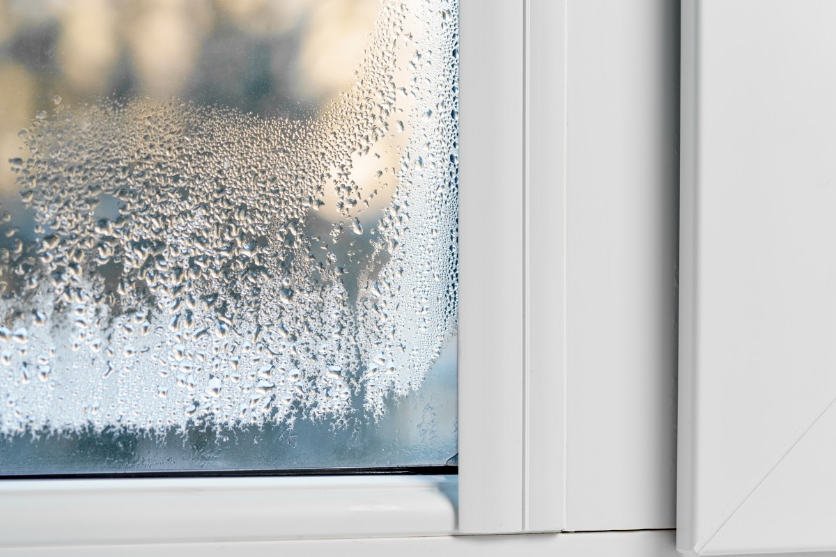 come togliere lumidita in casa umidita in casa