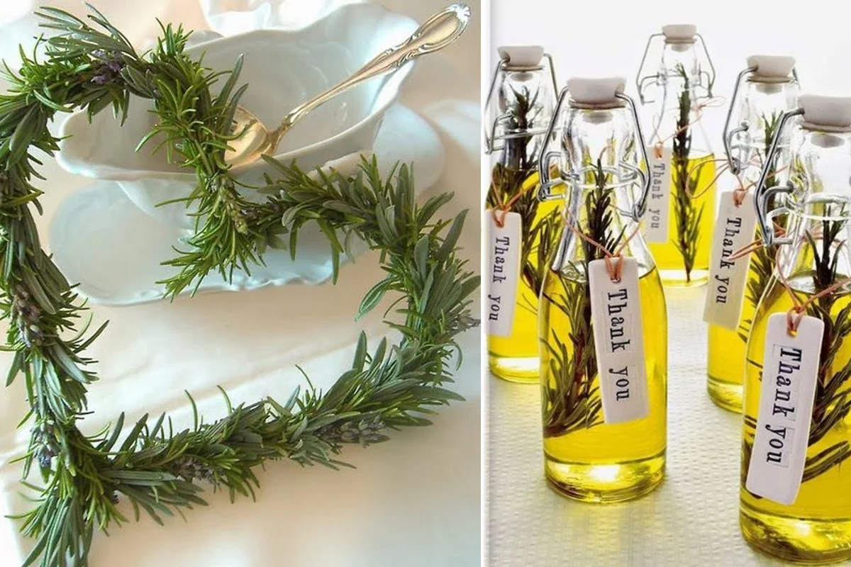 rosmarino e fai da te rosmarino 5.jpg
