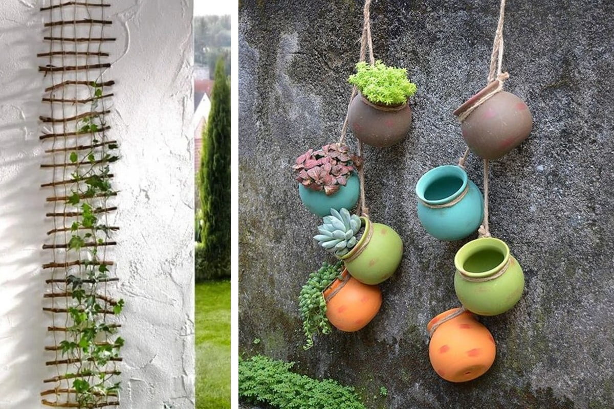 appendere le piante allesterno della appendere le piante 3