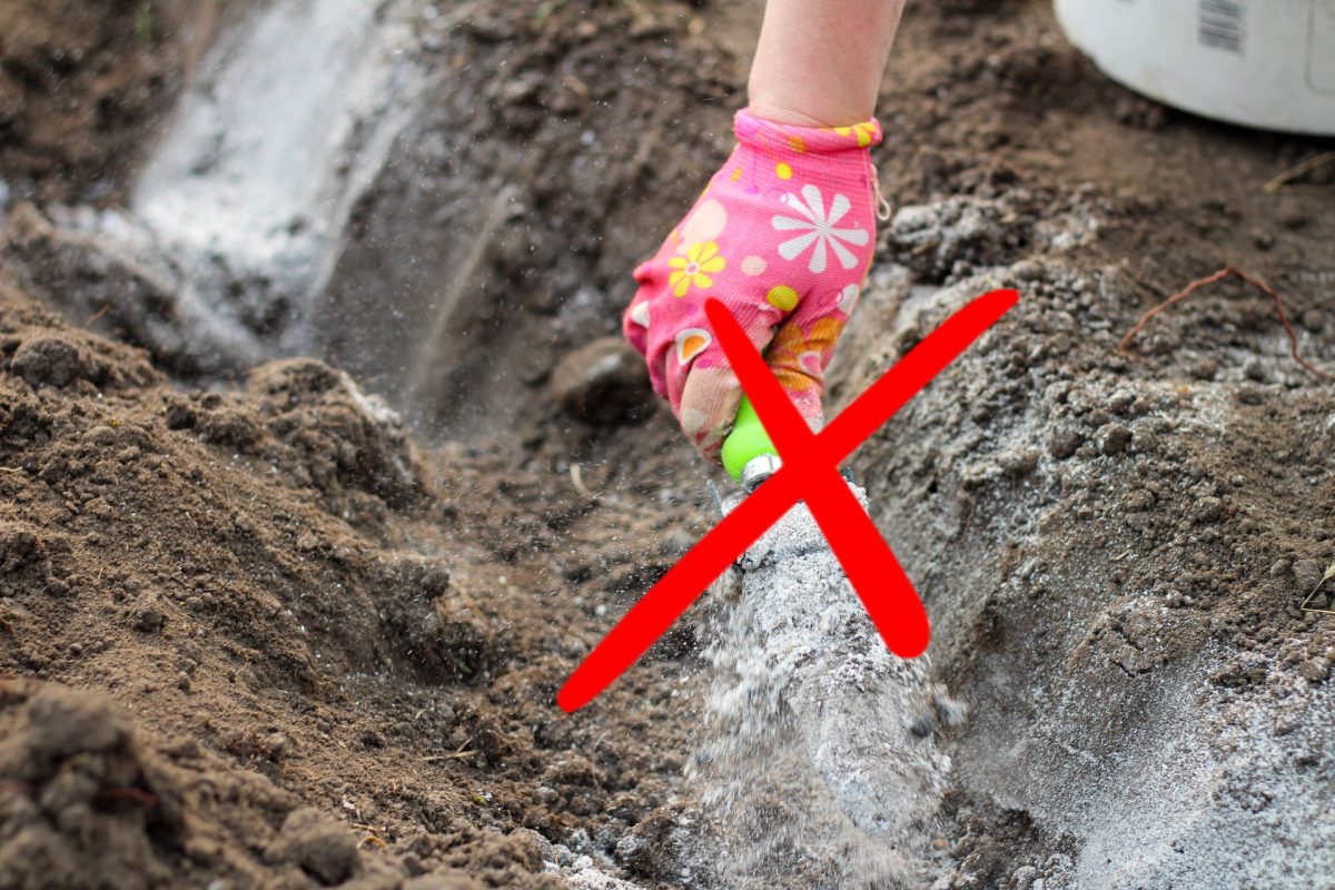 cenere di legna otto consigli cenere 3