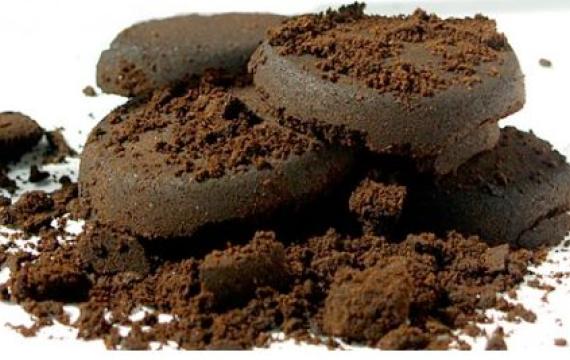 concimare con i fondi di quali piante si possono concimare fondi caffe1