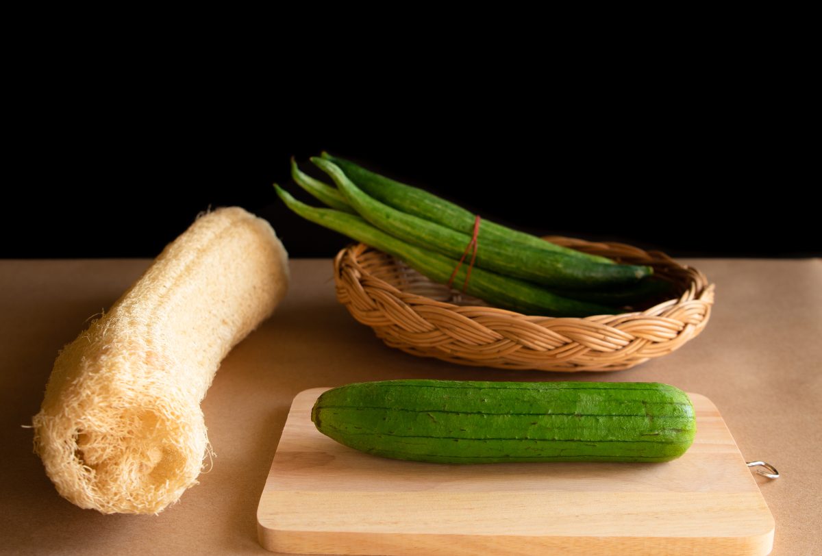 luffa la spugna vegetale che AdobeStock 225040004